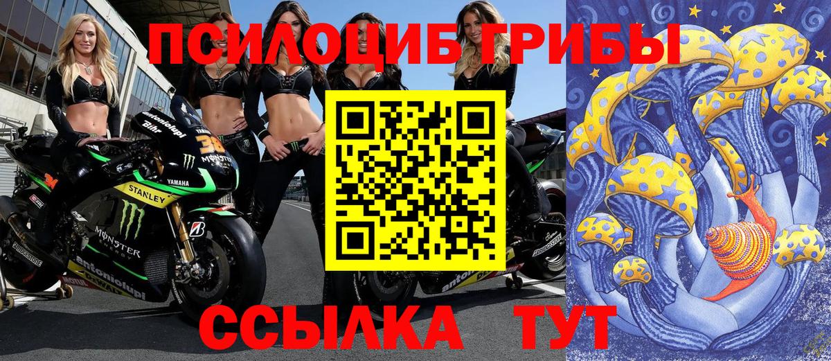 Рассказово  Псилоцибиновые грибы мухоморы  Вход с VPN 